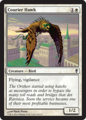 Courier Hawk - Foil